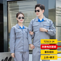 Весна и осенняя периодическая антистатическая шиндина Дэн Эш TZS13