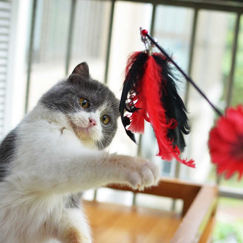 Funny cat stick cat fairy big feather bell bite-resistant funny cat long rod kitten kitten toy cat fighting supplies