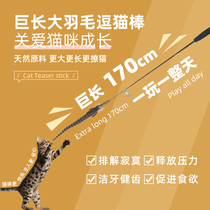 Pure Pure Pure cat mishang farm giant Long Mountain chicken big feather super long cat Rod replacement head pressure relief