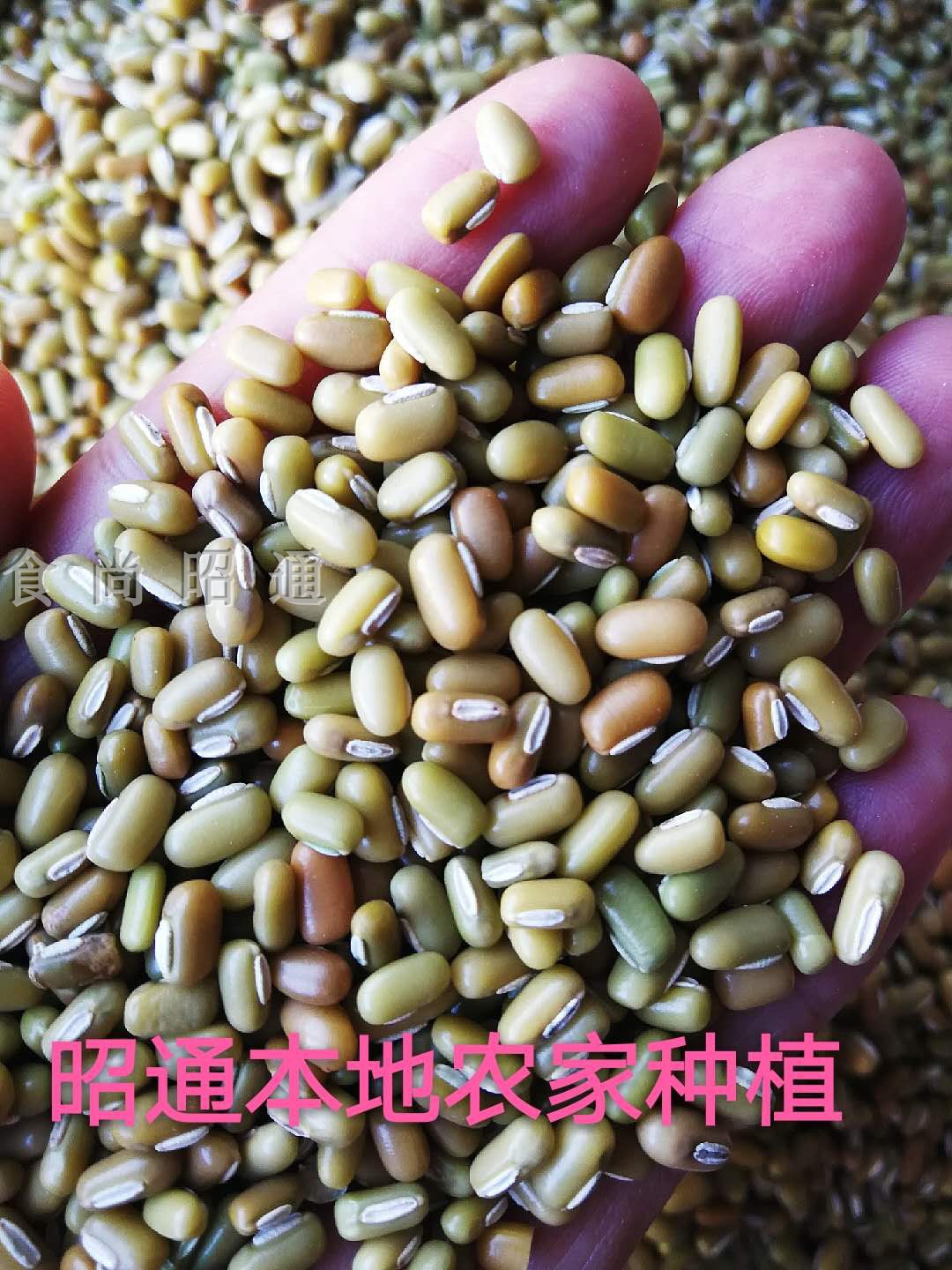 Yunnan Zhaotong local farmhouse millet bean rice bean rice bean sour vegetable soup raw material cooked and boiled porridge to make bean sand per 5 kg