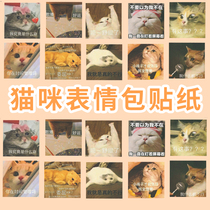 60 sheets of non-repetition net red and sensless kitty Cat Cute Expression Bag Handbill Stickler Hand Shell Decoration Waterproof Sticker