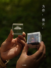 3D модель члена маятник 浇芽{小白云}治愈系礼物情侣送女友朋友生日小众又高级浪漫摆件