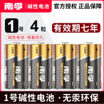 Nanfufeng Blue 1 carbon battery water heater gas cooker with gas stove D type 1 5v 1 alkaline