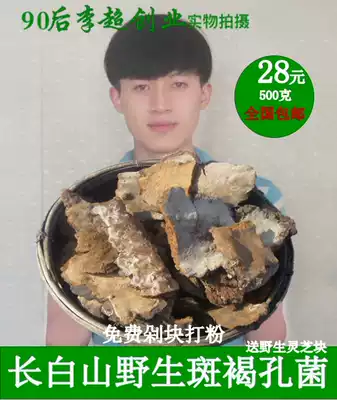 Pay attention to 500g Changbai Mountain wild spot Brown Ganoderma lucidum wild spot brown hole fungus Linzhi whole lucidum free chop powder