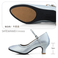 MD27 Silver 5 очков и [пластиковая основа]