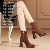 QC 5586 Brown