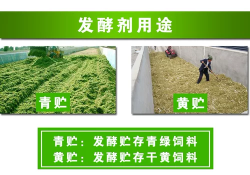 Соломенная фермеция, зеленый корм для корма для хранения желтый хранение кувшина соломенная соломенная ферментированная мебель, кормовая трава питательная овца скота, овцы овцы