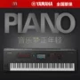 Yamaha Yamaha Montage 7 Montage 7 Bàn phím MIDI Arranger Workstation Bộ tổng hợp điện tử organ điện tử