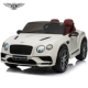 Роскошное издание [Glacier White] Bentley+Remote Swing+Bluetooth+Пластиковый блок