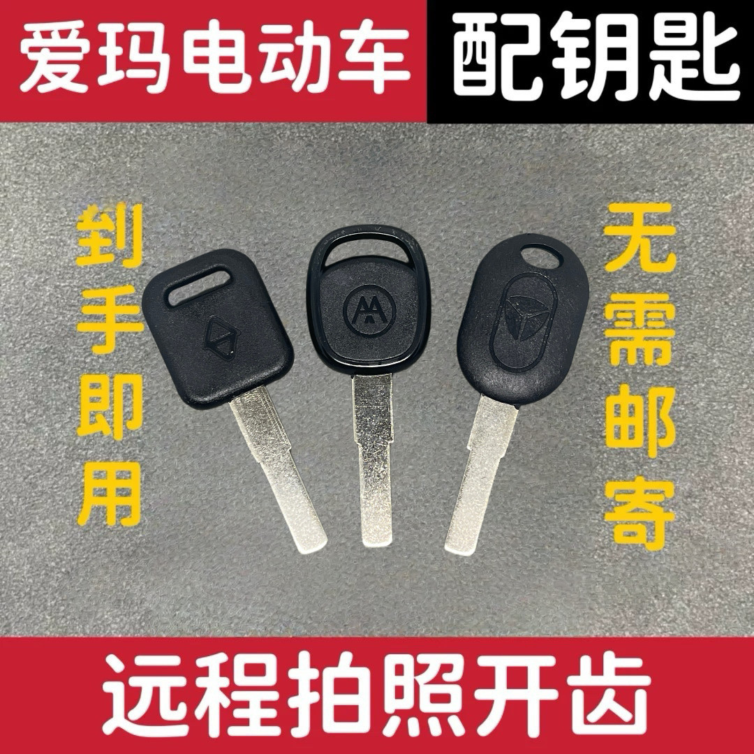 Equipped with electric vehicle key, open teeth, remote key, slotted remote key, photo picture, key