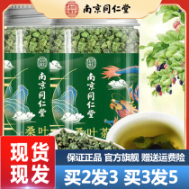 Nanjing Tongrentang Mulberry Leaf Tea 90g Frosted Mulberry Bag Tea Combination Tea Substitute Tea Bag Official Flagship Store