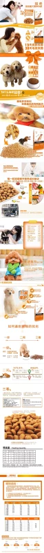 Thức ăn chính cho chó có mào Teddy Pomeranian Bichon Golden Retriever Samoyed General Thức ăn cho chó 5 kg 2,5kg - Chó Staples