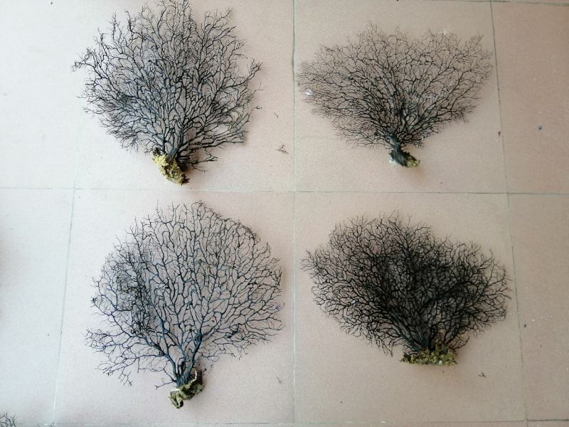 Hotel Mood Cuisine Cold Vegetable Dish Accessories Seafloor Iron Tree Floral Fish Tank Building high or wide 43-50 cm-Taobao