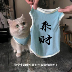 Summer Pet Clothing for Small Dogs and Cats, Lightweight Vest, Breathable, Sun Protection, Anti-Shedding, Cute Kitten and Dog Clothing