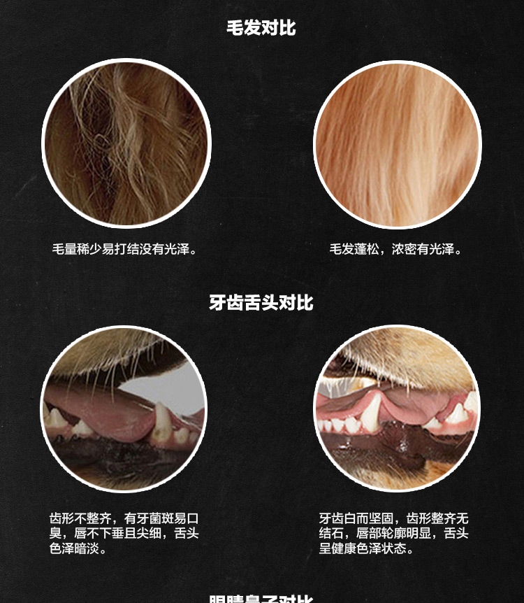 Thức ăn cho chó Bowei thức ăn cho chó cỡ trung bình phổ biến 5kg10 kg sức khỏe cho chó con thực phẩm Jin Mao Hu Shiqi Labrador - Chó Staples thức ăn cho chó pug
