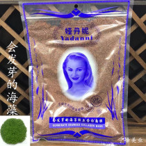 Yadani Seaweed Mask Granules Collagen Moisturizing Foot 360g