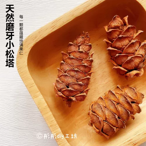 Шлифование хомяка закуски натуральная маленькая кукурузная свиная хомяка золотоиртовые цветочные ветви и кролики кролики Тотона, моя соседская модель Тоторо