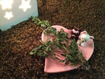 (Tongtong) Hamster snacks Alfalfa grass nutrition calcium supplement digestion 20g