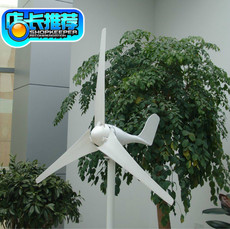 Ветрогенератор Генератор двигателя 12v100w200w12v24v дом ветра