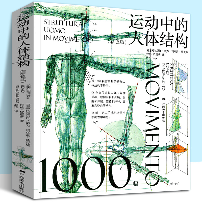 Human Anatomy in Motion: Color Edition - Venice Academy of Fine Arts - Drawing Tutorial on Human Torso and Skeleton Structure - Hand-Drawn Illustrations for Analysis - Artistic Sketching of Skeleton Anatomy - Basic Techniques for Drawing Moving Figures - Reference Book