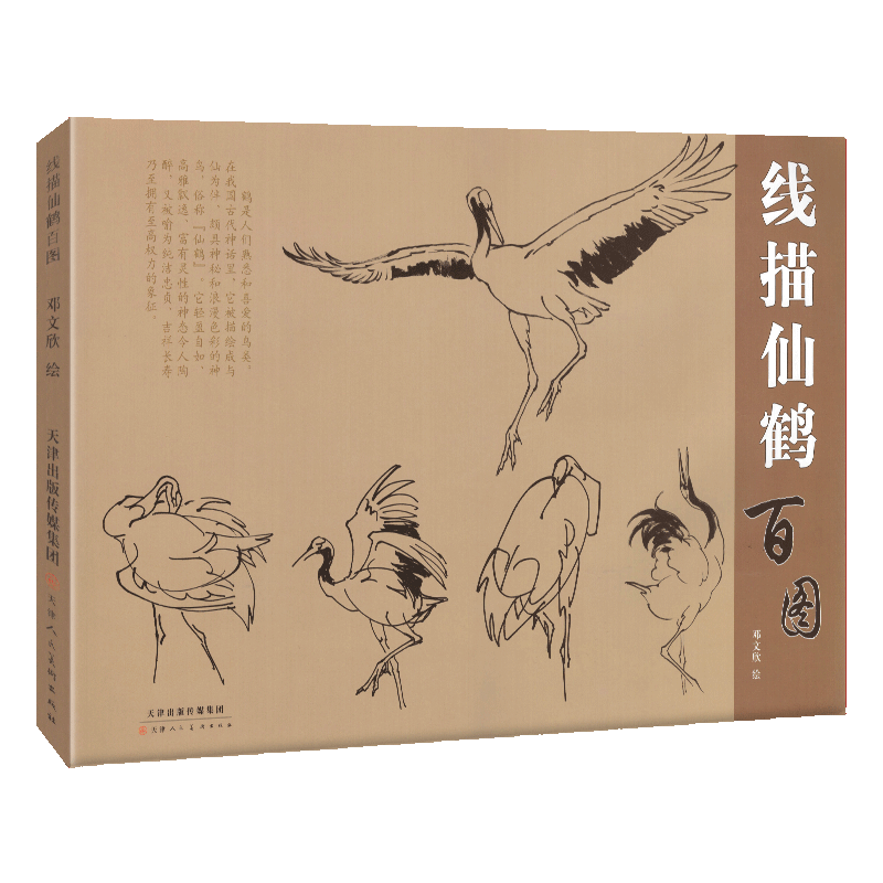 8开横幅正版】线描仙鹤百图邓文欣绘艺术绘画国画花鸟画硬笔速写