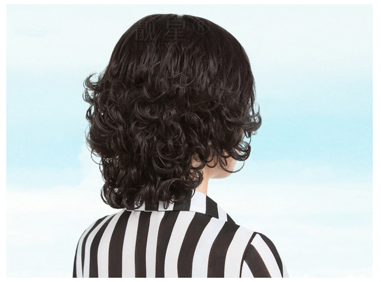 Perruque ALMAY cheveux courts - Ref 2609580 Image 9