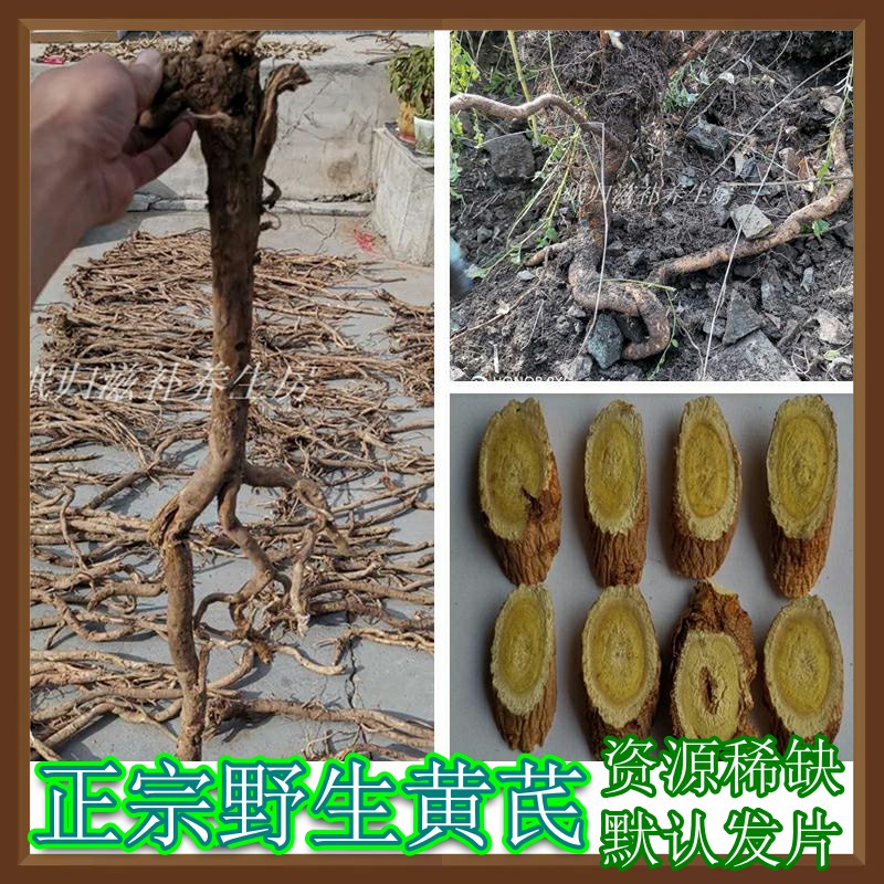 Astragalus slices wild astragalus premium Gansu Province Chinese herbal medicine 250g natural Beiqi can be matched with angelica
