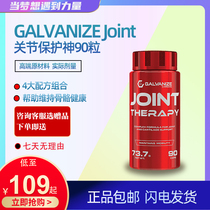 GALVANIZE Joint protector 90 capsules training standing glucosamine MSN chondroitin sulfate