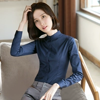 Сокровище синий (стоящий воротник)