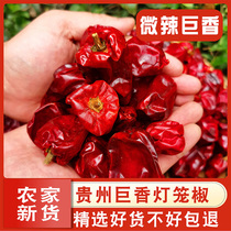 Guizhou specialty Zunyi bell pepper slightly spicy special fragrant dried pepper sea pepper dried 500g seasoning one catty
