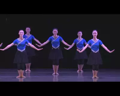 Minzu Minzu Dance Tutorial University Miao Dance Tutorial 2DVD Folk Dance Teaching Film