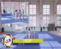 2016 National Cheerleading Action Routine Flower Ball Street Dance Jazz Skills 4DVD 4CD