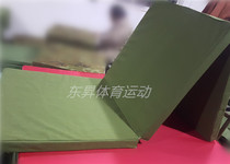 Gymnastics mat Childrens dance practice mat Fitness exercise Sit-ups mat Push-ups Sit-ups Nap