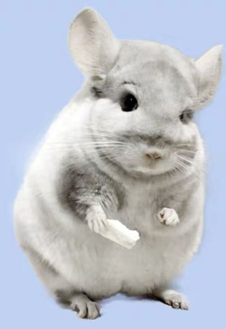 The price difference is a special one