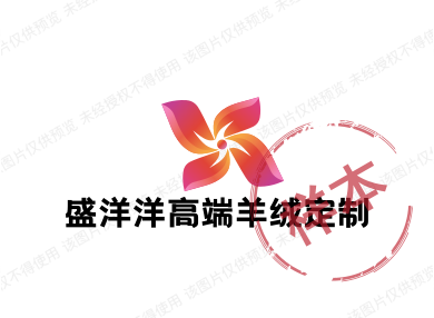 盛洋洋高端服饰