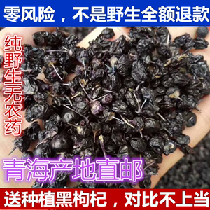 青海柴达木诺木洪野生黑枸杞200g克枸杞茶礼盒特级正品特产非宁夏