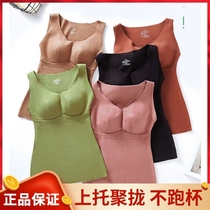 Sisi soft 20818 women's autumn and winter bra with chest pad one-piece backing camisole single-layer seamless slim fit