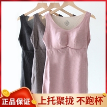 Sisi soft ladies autumn and winter warm bottoming vest seamless round neck slim wear no bra strap chest pad gathered underwear