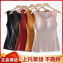 Yishi Eni lazy clothes ladies self-heating with chest pad thermos cup warm vest free bra bottoming coat