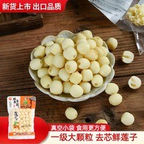 Fresh cored white lotus seeds non-dry goods hand-peeled extra fresh vacuum-locked fresh lotus seeds raw lotus seeds meat special grade 560g