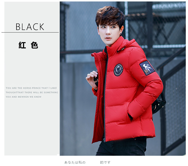 Blouson homme PLAYBOY     en Polyester - Ref 3121617 Image 31