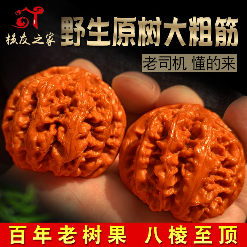 Text Playing Walnut Lion Head Extra-large Collection Class Graduation Boutique Wild Original Tree Large Coarse Gluten Ancient Playing Handpan Hemp Walnut