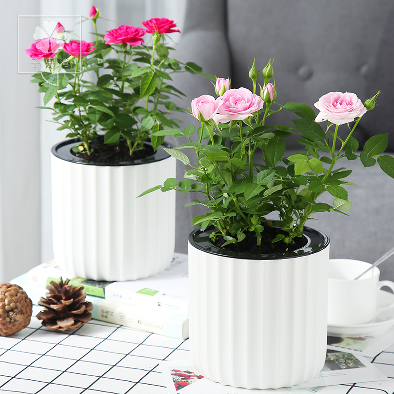 ������õ��������õ��