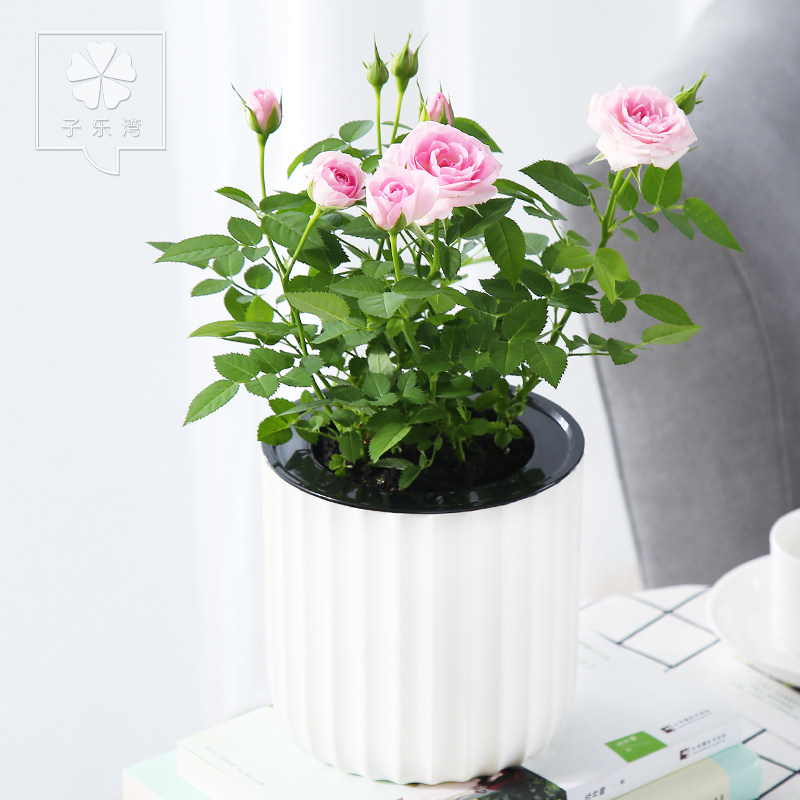 ������õ��������õ��