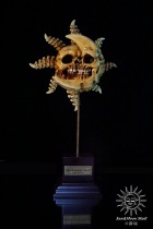 CJCY CRACK distortion celestial phenomenon-Sun and Moon erosion occult statue cut