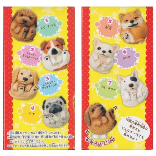 Takara-tomy round-round roll of animal famous dog collection gift twisted egg spot 