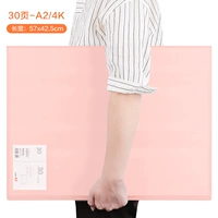 30 страниц розовый -0493 【A2】