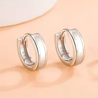 1 модель (S925 Стальной принцип)