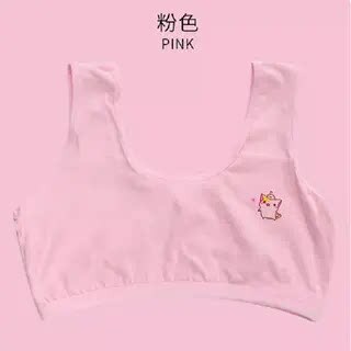 Underwear for Developing Girls, Bras for Elementary School Students, Small Vests, New Models, Other Services, New Style 66