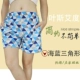 Quần pyjama phụ nữ mùa hè quần cotton tinh khiết mặc nhà quần short mùa hè mỏng rộng rãi cộng với kích thước quần âu in hoạt hình XXXL nữ - Quần tây
